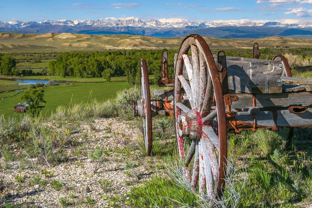 Such Beauty At Seven Mile Ranch. Photo by Dave Bell.