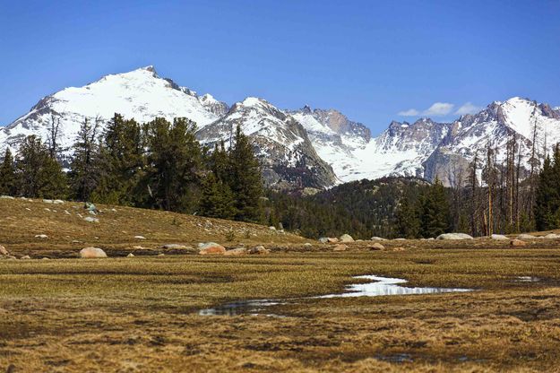 Snowy Peaks. Photo by Dave Bell.