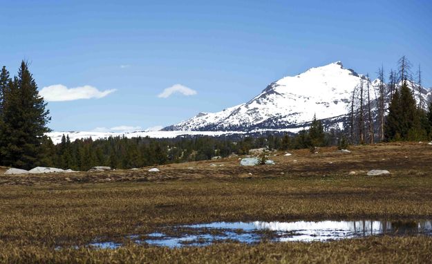 Mt. Geikle. Photo by Dave Bell.