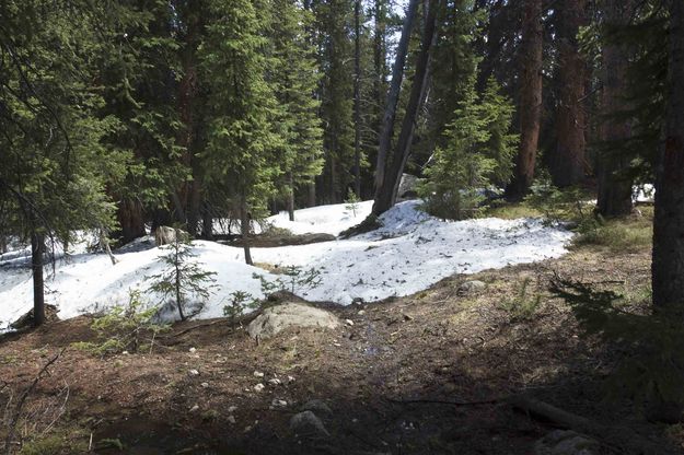 Plenty Of Mud And Snow. Photo by Dave Bell.