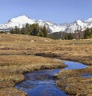 Fish Creek Park. Photo by Dave Bell.