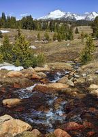 Tumbling Stream. Photo by Dave Bell.