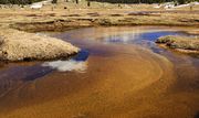 Golden Fish Creek. Photo by Dave Bell.