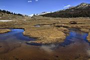 Fish Creek Bend. Photo by Dave Bell.