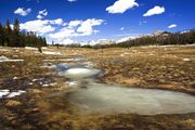 Icy Patch In Fish Creek Park. Photo by Dave Bell.