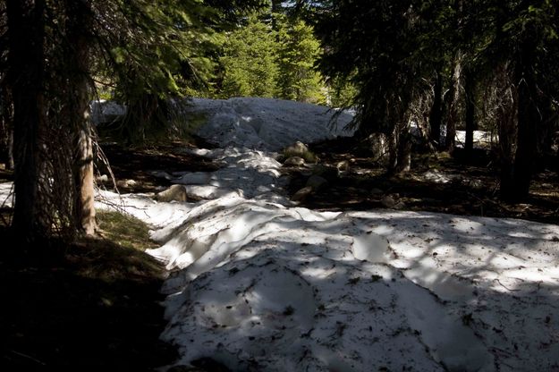 Shaded Snowbanks. Photo by Dave Bell.