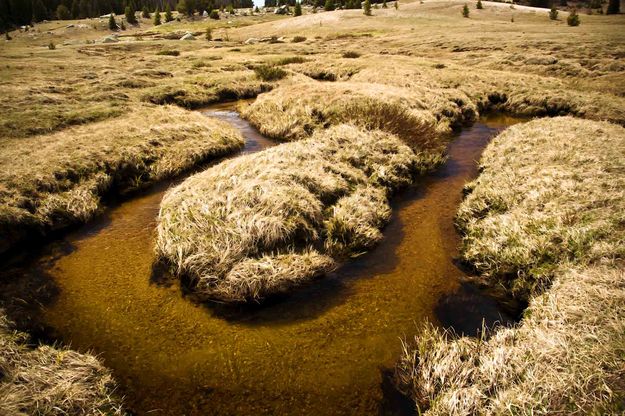 Fish Creek Tributary. Photo by Dave Bell.