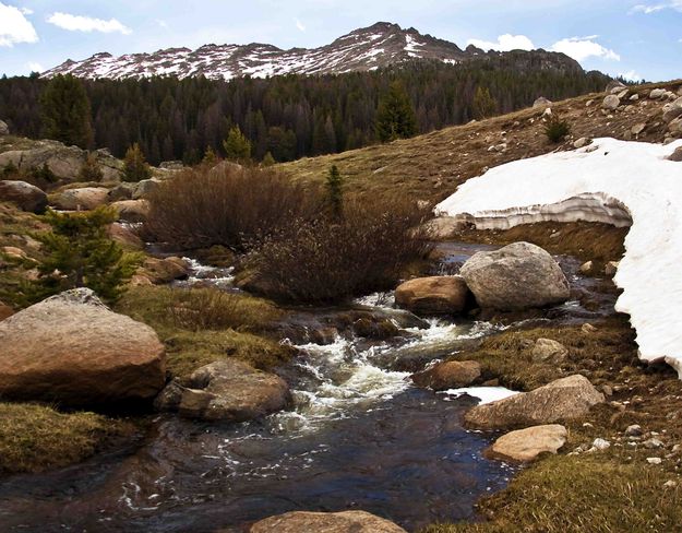 Spring Has Arrived--Barely!. Photo by Dave Bell.