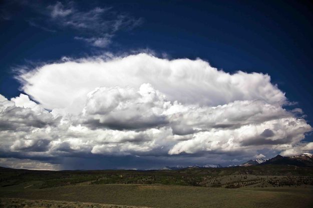 Thunder Boomer. Photo by Dave Bell.