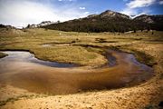 Fish Creek Around The Bend. Photo by Dave Bell.