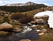 Spring Has Arrived--Barely!. Photo by Dave Bell.