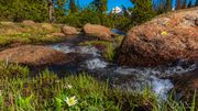 Babbling Brook. Photo by Dave Bell.