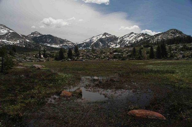 Wet High Country--Bunion Mt. (11,905) In Background. Photo by Dave Bell.