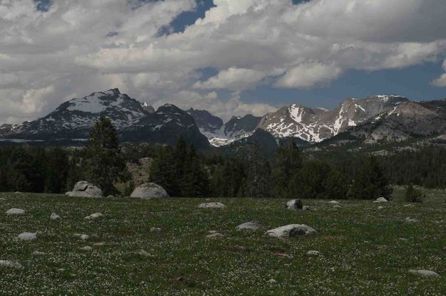 Mt. Gelkie And Flower Carpet. Photo by Dave Bell.