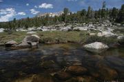 Crystal Clear Donald Creek. Photo by Dave Bell.