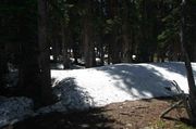 Snow On Trail--9,800'-North Slopes. Photo by Dave Bell.