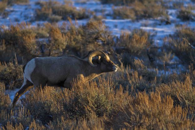 On The Stalk. Photo by Dave Bell.