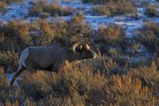 On The Stalk. Photo by Dave Bell.