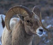 Up Close. Photo by Dave Bell.