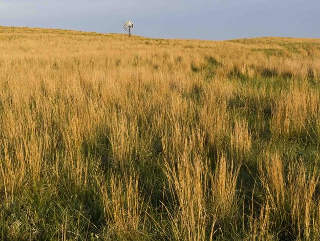 Sand Hills. Photo by Dave Bell.