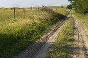 Tractor Road. Photo by Dave Bell.