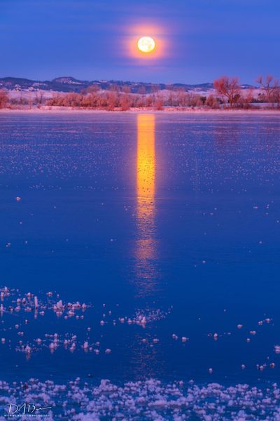 Moon Stripe. Photo by Dave Bell.