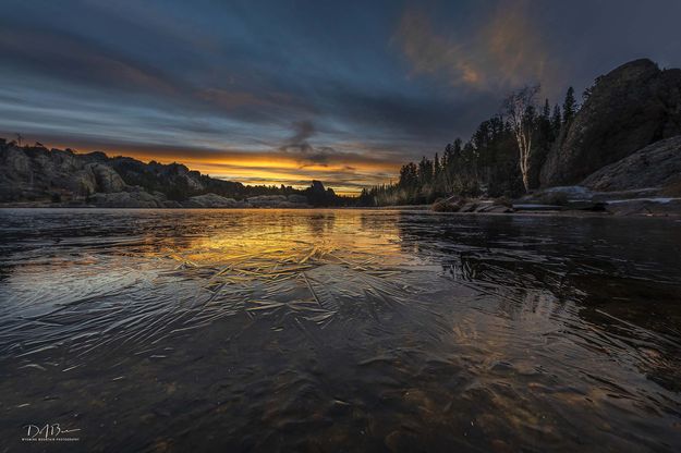 Icy Reflections. Photo by Dave Bell.