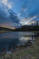 Dave's Pond. Photo by Dave Bell.