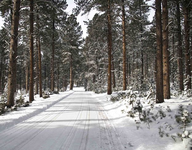 Rocky Johnson Road. Photo by Dave Bell.