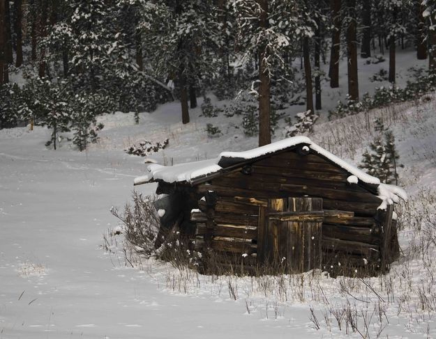 Old Homesteaders Cabin. Photo by Dave Bell.