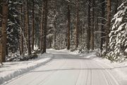 Beautiful Black Hills Road. Photo by Dave Bell.