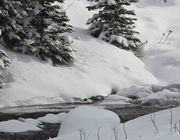 Wintery Creek. Photo by Dave Bell.