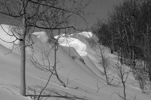 Snowshoe Tracks On Ridge. Photo by Dave Bell.