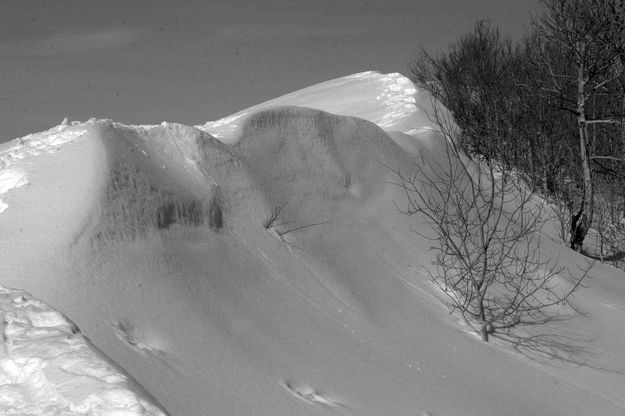 Ridgeline Drift. Photo by Dave Bell.