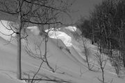 Snowshoe Tracks On Ridge. Photo by Dave Bell.