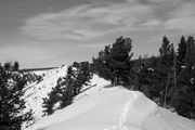 Ridgeline and Fox Trail. Photo by Dave Bell.