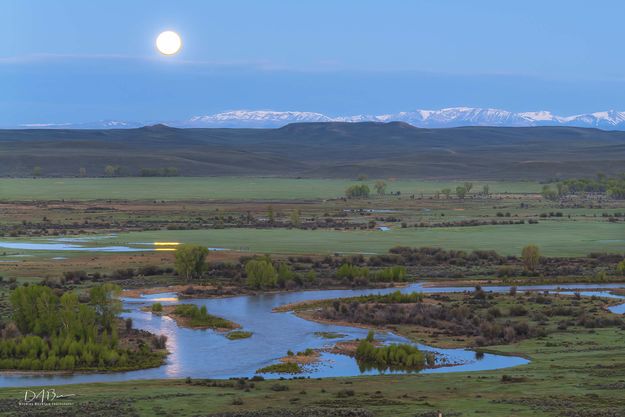 Setting Strawberry Full Moon. Photo by Dave Bell.