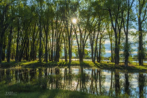 Reflections. Photo by Dave Bell.