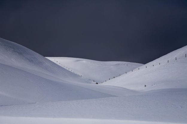 Shades Of White. Photo by Dave Bell.