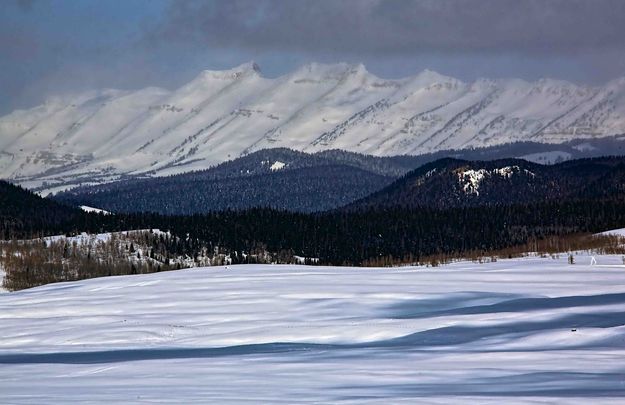 Sawtooth. Photo by Dave Bell.