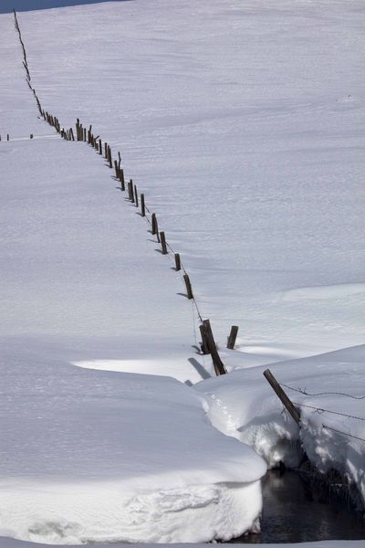 Way Up Yonder. Photo by Dave Bell.