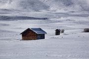 White Out. Photo by Dave Bell.