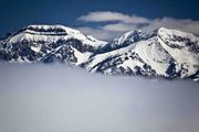 Morning Fog Bank. Photo by Dave Bell.