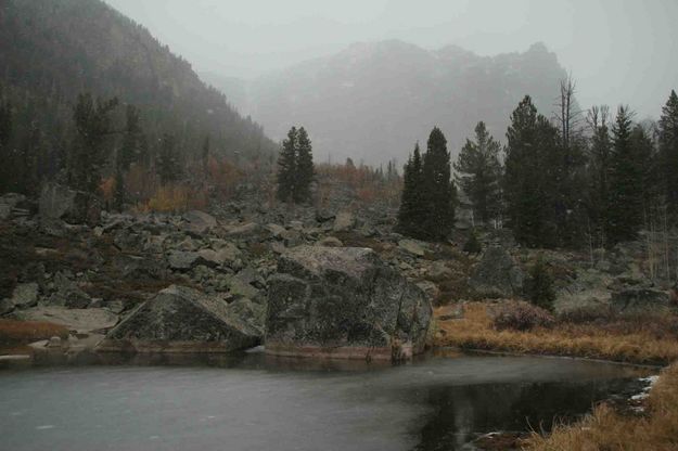 Partially Frozen Pond. Photo by Dave Bell.