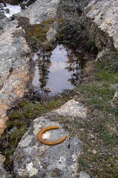 Rusty Horseshoe. Photo by Dave Bell.