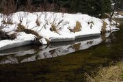 Relection In Small Pond. Photo by Dave Bell.