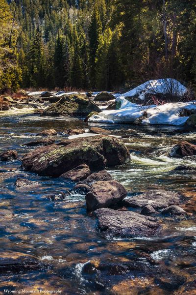 Boulder Beauty. Photo by Dave Bell.