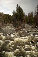 Split Creek. Photo by Dave Bell.