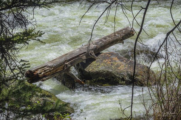 Balanced. Photo by Dave Bell.