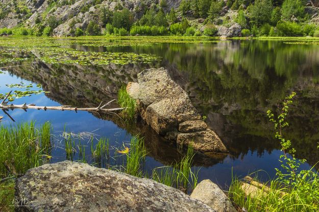 Lilly Pond. Photo by Dave Bell.